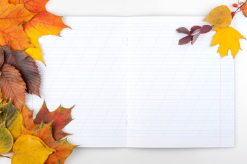Writing-book and autumn leaves. Back to school