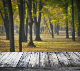 Naklejka na ściany i meble Autumn forest and wooden floor