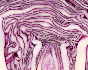 Obraz premium Slice of violet cultivated cabbage.
