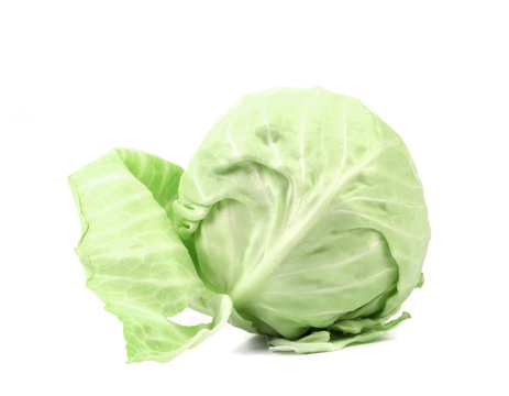 Whole green cabbage.
