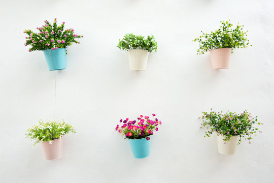 Flower pot with white wall