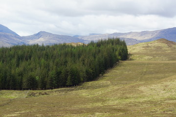 Scottish Highlands - Beautiful Scenery © Daniel Mortell