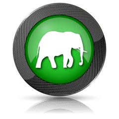 Elephant icon