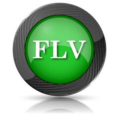 FLV icon
