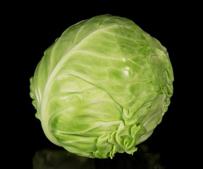 Obraz premium The white cabbage
