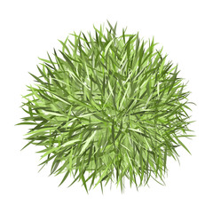 Grass frame green for your design