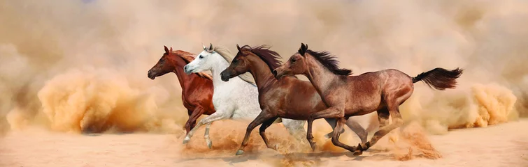 Herd gallops in the sand storm © loya_ya