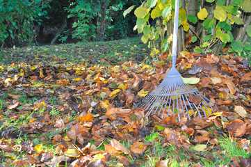 ramasser les feuilles mortes
