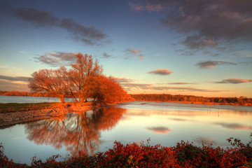Beautiful Autumn