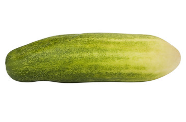 Close-up of a fresh green cucumber