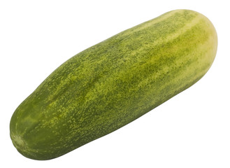 Close-up of a fresh green cucumber