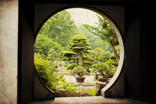 Bonsai Garden - Suzhou - China