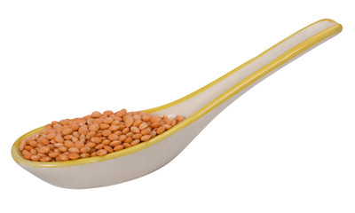 Close-up of red lentils in a spoon