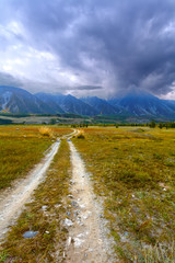 mountain meadow desert