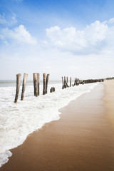 Wooden posts on the beach, Pondicherry, India