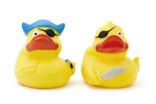duck,s