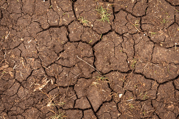 Closeup of dry soil texture