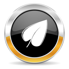leaf icon