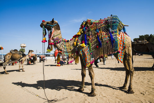Rajasthani Culture Rajasthani Culture