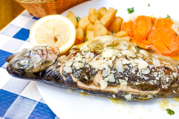 delicious plate of fish and carrot