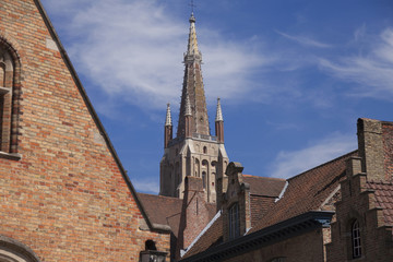 Fototapeta na wymiar The Saint Salvador Cathedral in Bruges