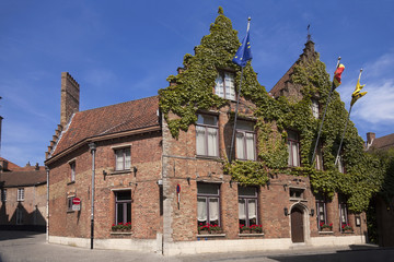 Fototapeta premium House with vines and flags