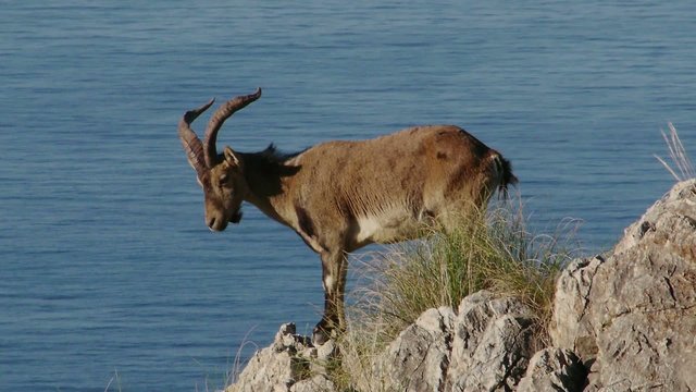 macho montes con el mar de fondo