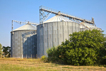 Fototapeta na wymiar Farm grain silos for agriculture