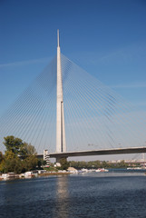 Fototapeta na wymiar Pylon mostu na Ada, Belgrad - Serbia