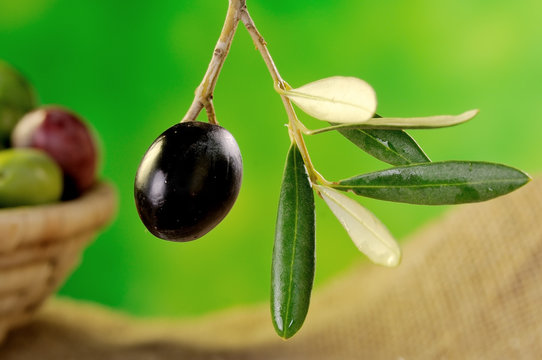 Sicilian olives
