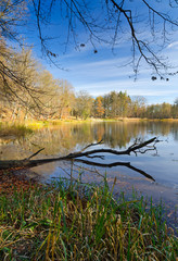 Vertical lake landscape in late autumn season