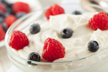 Fresh Organic Healthy Yogurt