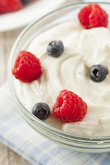 Fresh Organic Healthy Yogurt