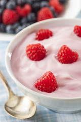 Fresh Organic Healthy Yogurt