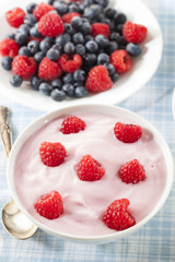 Fresh Organic Healthy Yogurt