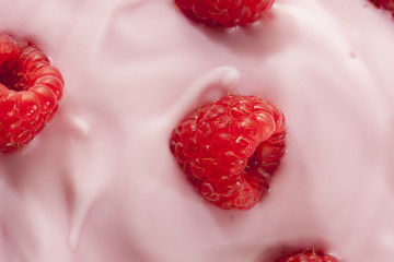 Fresh Organic Healthy Yogurt