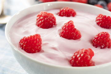 Fresh Organic Healthy Yogurt