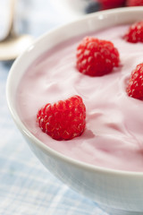 Fresh Organic Healthy Yogurt