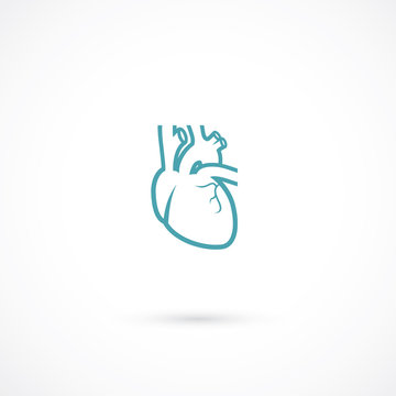 Human Heart Symbol