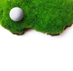 Poster Golf ball on green grass field. © Valentina R.