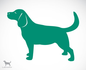 Vector image of an dog labrador