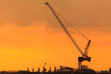 Fototapeta premium Cranes