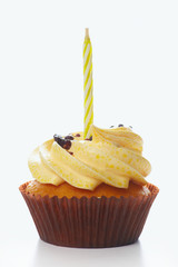 Cupcake on the white b