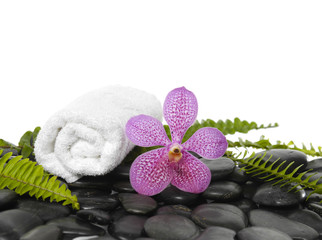 Fototapeta na wymiar roller towel with green fern and pink orchid on pebbles