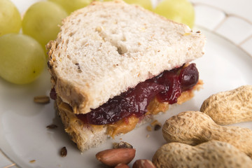 Peanut Butter and Jelly Sandwich