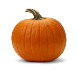 Fototapeta premium Pumpkin