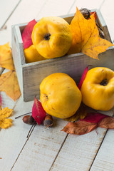 Fresh quinces