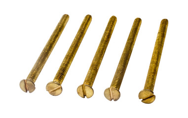Close-up of screws arranged in a row