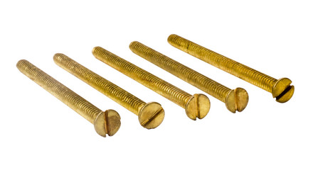 Close-up of screws arranged in a row