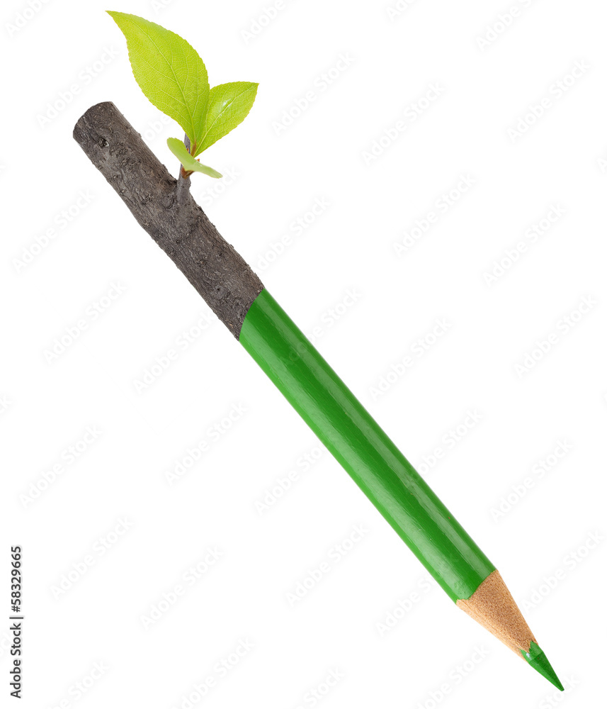 Wall mural eco green pencil with leaf